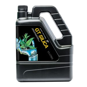 GT Silica